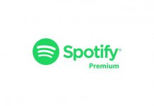 Spotify Premium Account
